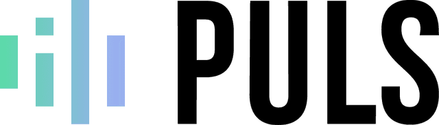 Puls Logo